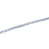 Contest COLORTAPE6065 - Ruban LEDs RGB, 24V, 15W/m, 60leds/m, IP65 - R