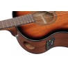 Ibanez AAM 140 Emhs | Ubico Musique