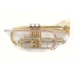 Cornet ROY Benson CR-202 | Ubico Musique
