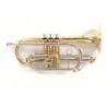 Cornet ROY Benson CR-202 | Ubico Musique
