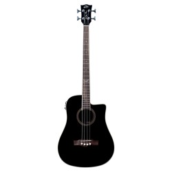 Basse acoustique EKO NXT B100CWE See Through Black | Ubico Musique