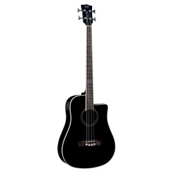 Basse acoustique EKO NXT B100CWE See Through Black | Ubico Musique