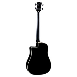 Basse acoustique EKO NXT B100CWE See Through Black | Ubico Musique
