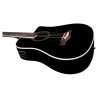 Basse acoustique EKO NXT B100CWE See Through Black | Ubico Musique