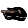 Basse acoustique EKO NXT B100CWE See Through Black | Ubico Musique