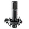 sE Electronics sE2200 – Micro statique grand diaphragme studio