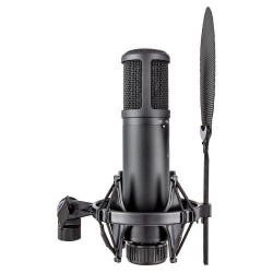 sE Electronics sE2200 – Micro statique grand diaphragme studio