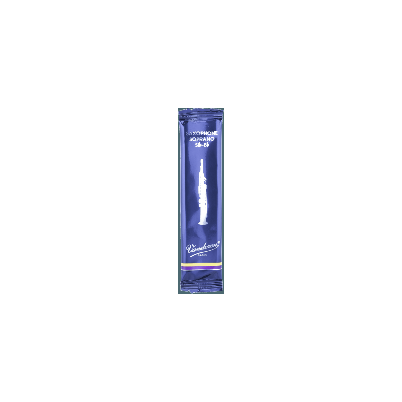 AVD_SR2025-AVD-SR201-2