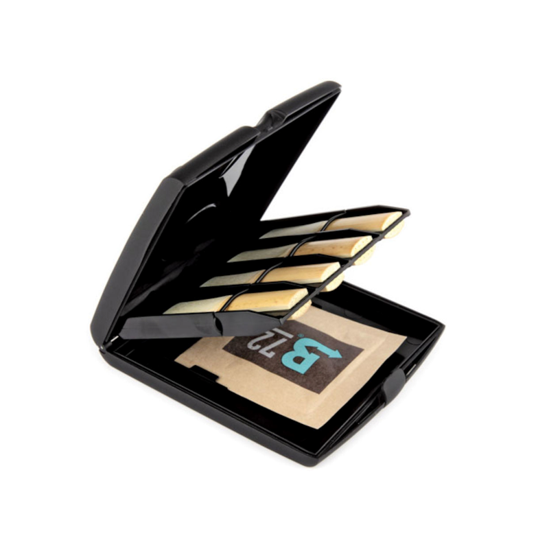 RVCASE04