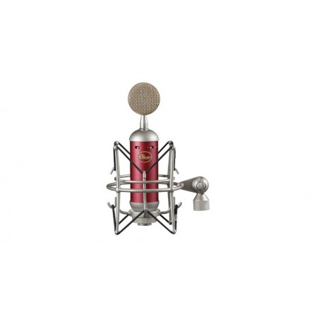 cover-BSPARK-SL-178578