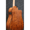 Guitare IBANE AW54LCEOPN Gaucher
