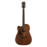 Guitare IBANE AW54LCEOPN Gaucher