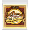 CORDE ERNIE BALL EARTHWOOD 80/20 BRONZE Banjo 5c à boucle
