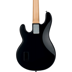 GSU_RAY4-VSBS-M1-GSU-RAY4-VSBS-M1-6-B