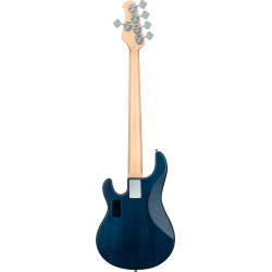 GSU_RAY5-TBLS-R1-GSU-RAY5-TBLS-R1-5-B