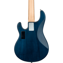 GSU_RAY5-TBLS-R1-GSU-RAY5-TBLS-R1-6-B