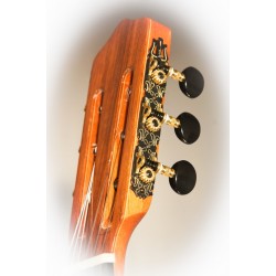 GUITARE CLASSIQUE KREMONA ROSA NEGRA