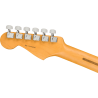 Fender American PRO II Stratocaster RW Dark Night
