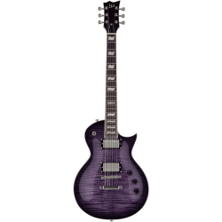 LTD EC256-STPSB