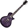 LTD EC256-STPSB