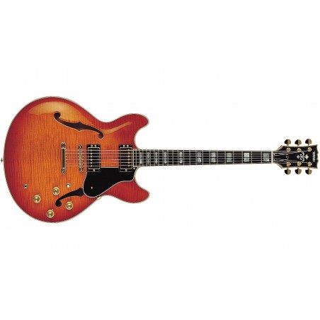 GSA2200VSWC-sa2200-vs-hd-2-53680