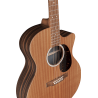 Guitare MARTIN & CO. - GMA GPC-X2E-MACASSAR Grand Performance - GP Cut. Sapele/Macassar HPL