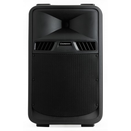 Enceinte AUDIOPHONY SR10A