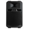 Enceinte AUDIOPHONY SR10A