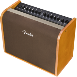Fender® ACOUSTIC 100