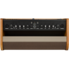 Fender® ACOUSTIC 100
