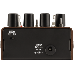 Acoustic Preamp/Reverb Fender
