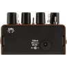 Acoustic Preamp/Reverb Fender