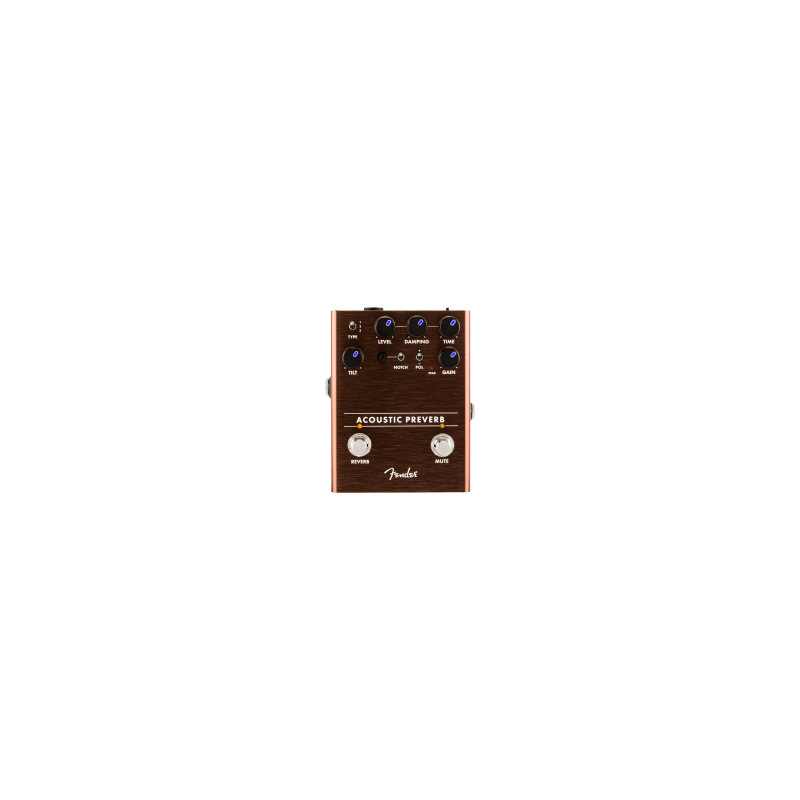 Acoustic Preamp/Reverb Fender