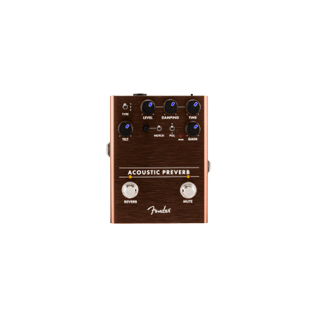 Acoustic Preamp/Reverb Fender