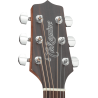 Takamine Dreadnought Cutaway Electro GD10CENS