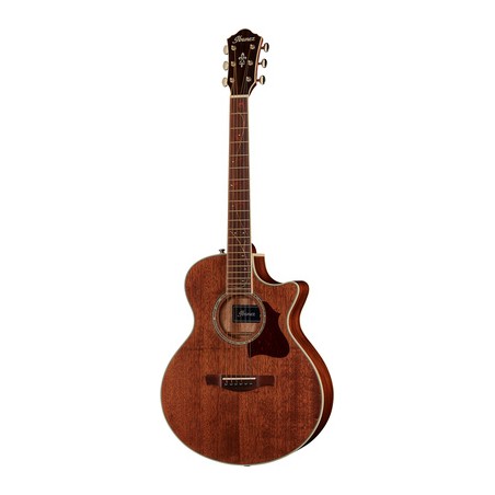 ibanez AE245 JR OPN