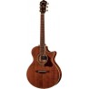 ibanez AE245 JR OPN
