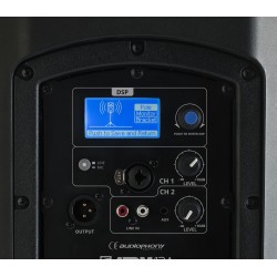 Enceinte active AUDIOPHONY ATOM12A 12 pouces 400W active avec DSP