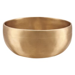 MEINL SBU500