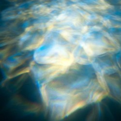 1221500025-1221500025_fx4