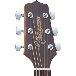 TAKAMINE GD11MNS
