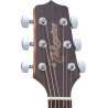 TAKAMINE GD11MNS