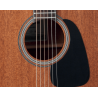 TAKAMINE GD11MNS
