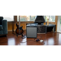 AMPEG ROCKET BASS 110 EU B