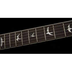 GUITARE ELECTRIQUE PRS SE ZACH MYERS BLUE