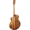 Guitare Martin GMA SC-13E