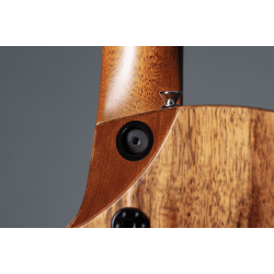 Guitare Martin GMA SC-13E