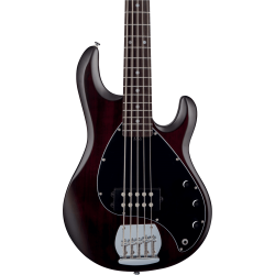STERLING BY MUSIC MAN - BASSE STINGRAY 5 WALNUT SATIN