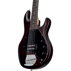 STERLING BY MUSIC MAN - BASSE STINGRAY 5 WALNUT SATIN