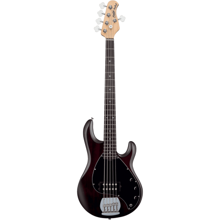 STERLING BY MUSIC MAN - BASSE STINGRAY 5 WALNUT SATIN